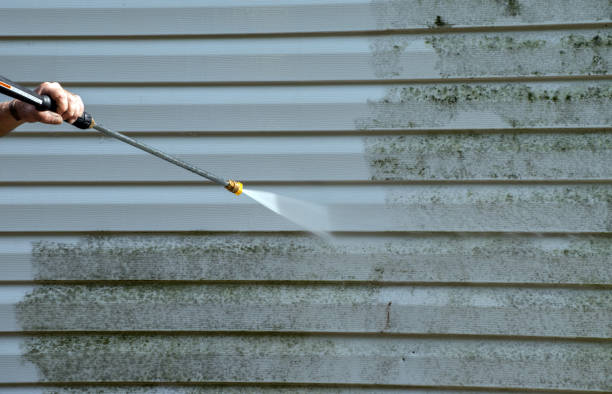 Best Roof Pressure Washing  in West Buechel, KY